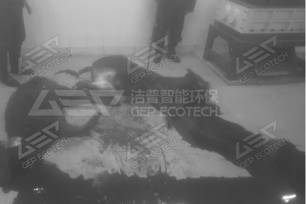 動物屍體比特幣